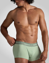 Load image into Gallery viewer, New Classic Cotton Trunk - Mint
