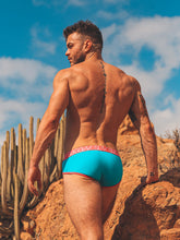 Load image into Gallery viewer, Apex Brief - Pool Blue