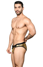 Load image into Gallery viewer, Golden Boy Mesh Bikini
